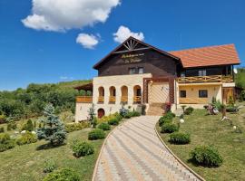 Pensiunea La Conac，位于Săliştea Veche的酒店