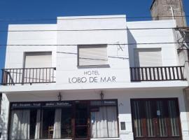 Hotel Lobo de Mar - Necochea，位于内科切阿的酒店