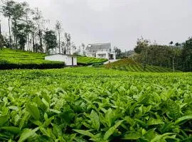 Jo and Fe Farmstay Vagamon