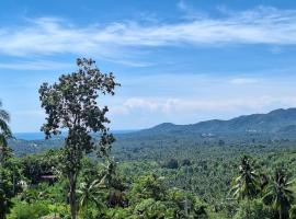 Kopan House View point，位于通萨拉的酒店