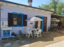 Loft immerso nel bosco