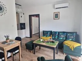 Apartament Słoneczny Taras nad Baryczą