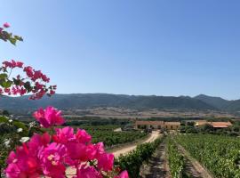 Agriturismo Campesi casale tra le vigne，位于阿列恩图的酒店