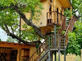 Tnak Dream House