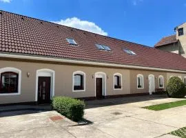 Penzion Mánes