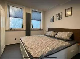Ferienwohnung Schnezler
