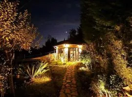 Apartments with swimming pool Lovran, Opatija - 23500