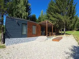 Modular Cuib de Vultur