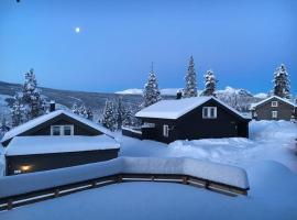 Modern cabin, great view, sunny，位于海姆瑟达尔的酒店