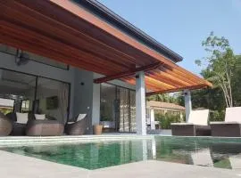 Ananda coco villa 2