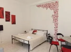 Il roseto di Cremona, luminoso monolocale indipendente