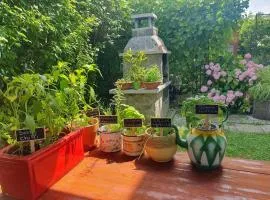 Green Garden Home