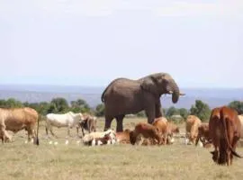 Orkiu Safari Camp