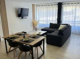 Grand appartement Roanne centre
