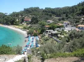 Debbie s Beach House