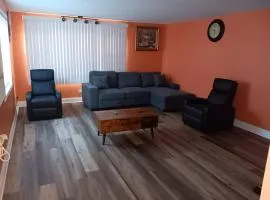 Condo Apartment Near Midway Airport