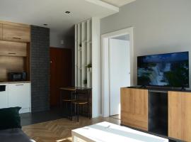 Apartment Sosnowiec City - FREE PARKING - easy check-in，位于索斯诺维茨的酒店