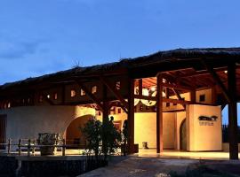 Serengeti Ark Safari Lodge - Kogatende，位于塞伦盖蒂国家公园的酒店