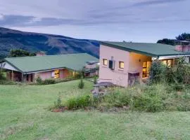 Drakensberg Vultures View