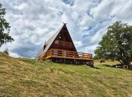 Cabana Morarilor，位于Bertea的酒店