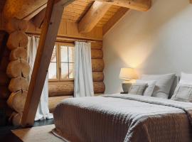 Standard 3 - Heiti Lodge，位于Gsteig的酒店