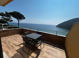 Belvedere Mondial