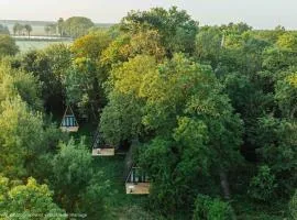 Ecolodges de rêve dans un château de conte de fées