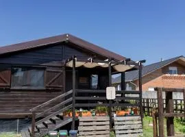 Gothes Chalet Javier