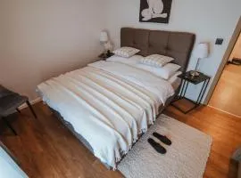 Apartman VI u centru Kutine