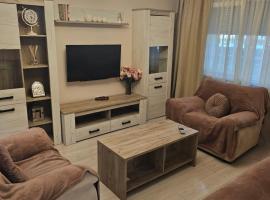 Dary Apartment，位于Turnu Măgurele的带停车场的酒店