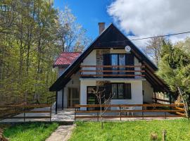 Vlasinsko jezero vila BiLiV，位于Surdulica的酒店