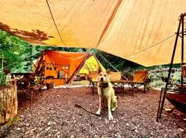 Shirasu-Ojiro FLORA Campsite in the Natural Garden - Vacation STAY 70013v