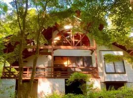 Yatsugatake Villa FOREST&DOG - Vacation STAY 53545v