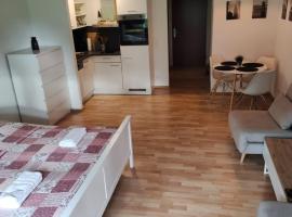 City Apartment，位于博登斯边的拉多夫采尔的酒店