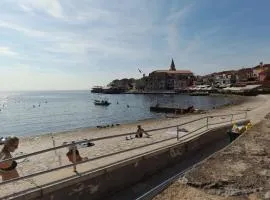 Apartment Central Location - Studio Apartment