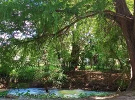 Finca EL CHACHALACO