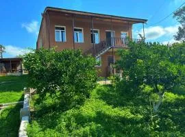 Irakli Guest House