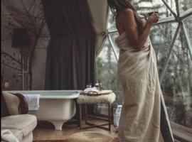 Forest Shore Dome，位于谢尔本的酒店