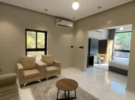 The palm villa