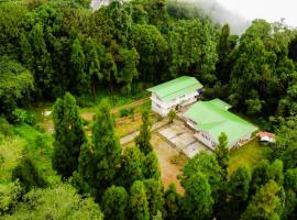 The Alpine Jungle Stay，位于拉瓦格拉的酒店