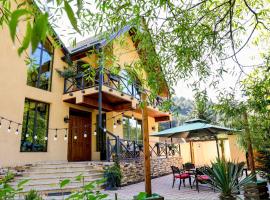 Villa Alexander Dilijan，位于迪利然的酒店