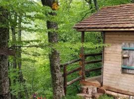 Poet's Hut in The Mountains，位于Buriaki的酒店