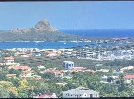 Tropical Harbour View