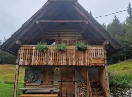 Apartment in Chalet Goldilocks