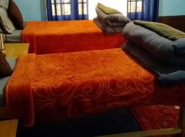 Padmaling guest house zanskar eco camp，位于Padam的酒店