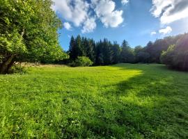 Tree house with private meadow in the middle of the forest，位于Bytca的露营地