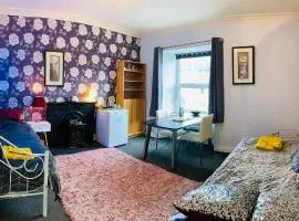 Dundonald Link, quiet & spacious twin room in town centre