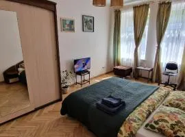 Kaunas Center Apartment