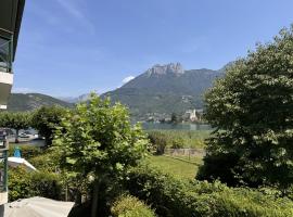 Studio La Baie des Voiles vue lac et montagne，位于杜约特的酒店