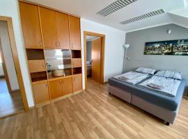 3-Bedroom apartment in Rajhrad, with kitchen, 2 bathrooms, parking，位于Rajhrad的酒店